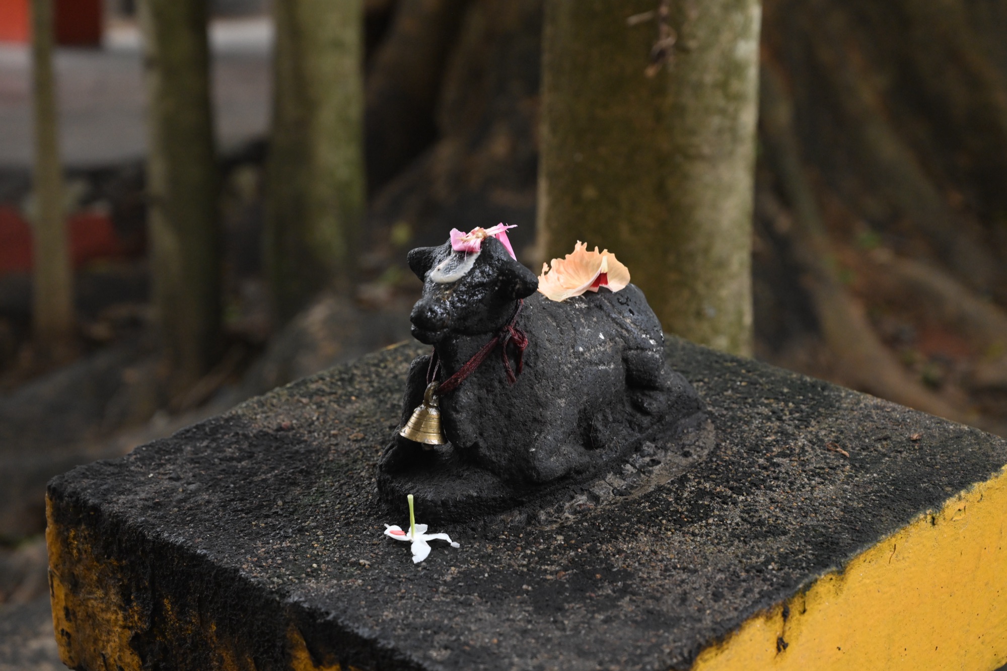 നന്തികേശൻ